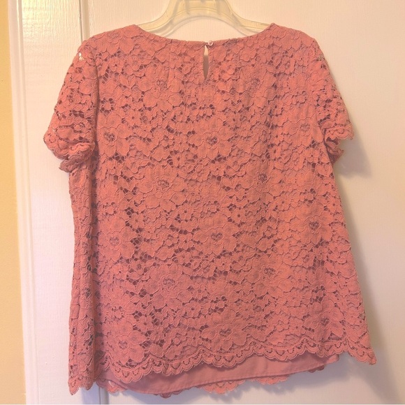 Talbots Top Dusty Rose Lace Blouse Short Sleeve Lined Scallop Hem Plus size 18W - Picture 13 of 15